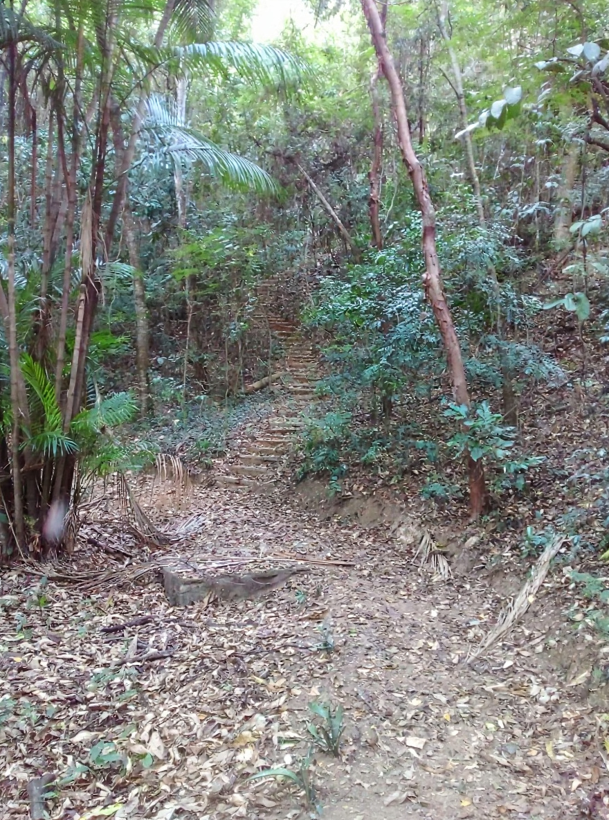 Trilhas em meio à natureza